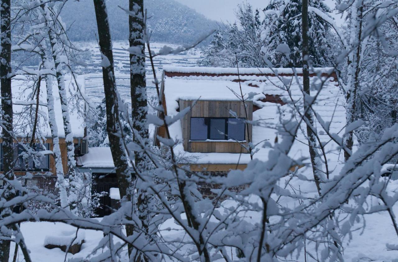 Le Grand Petit Prince - Domaine De Charme - Jacuzzis Privatifs Guebwiller Exterior photo